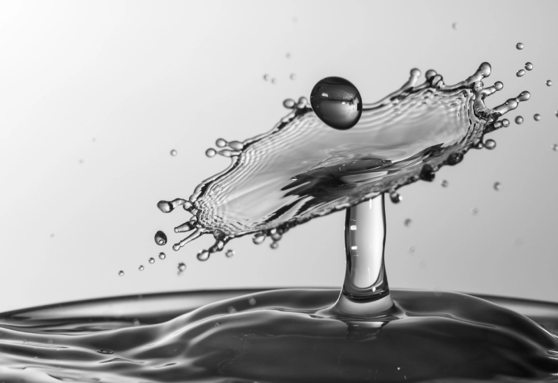 راهنمای جامع عکس فریز در عکاسی؛ تکنیک‌ها، کاربردها