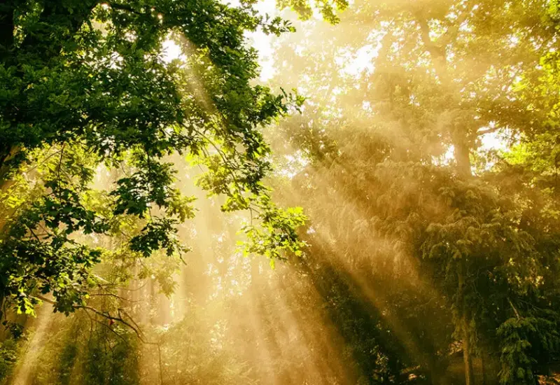 عکاسی با نور طبیعی و مصنوعی