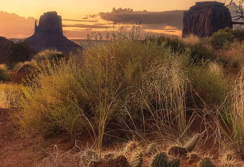 شارپنس دوربین چیست