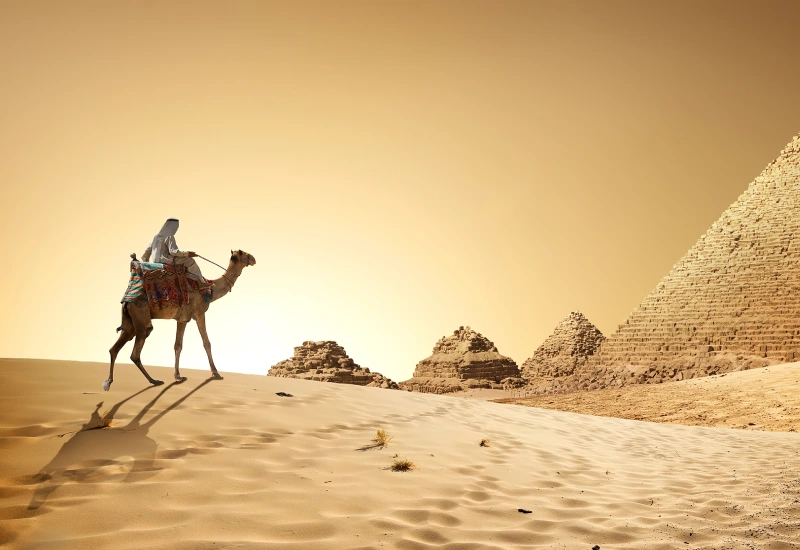 اکستریم لانگ شات چیست